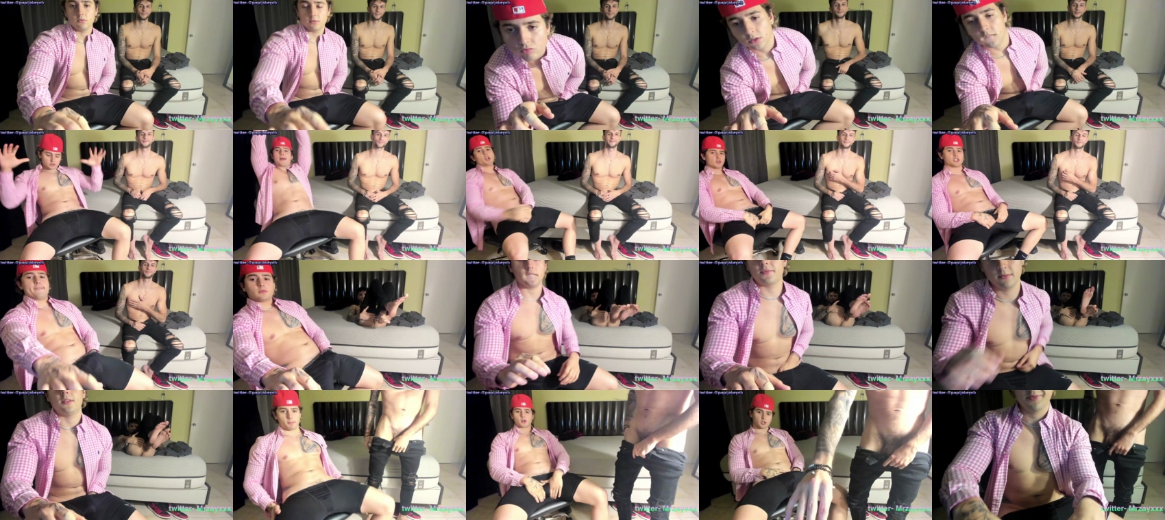 zaylanez  28-02-2023